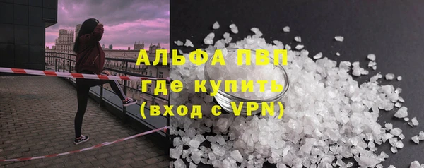 стафф Михайловск