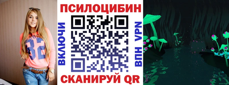 Псилоцибиновые грибы Psilocybine cubensis  гидра ССЫЛКА  Новое Девяткино 